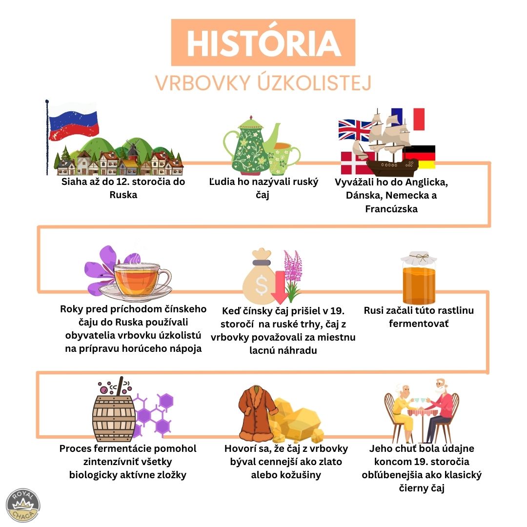 Histŕoia vrbovky